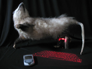 Illustration for article titled Text-O-Possum